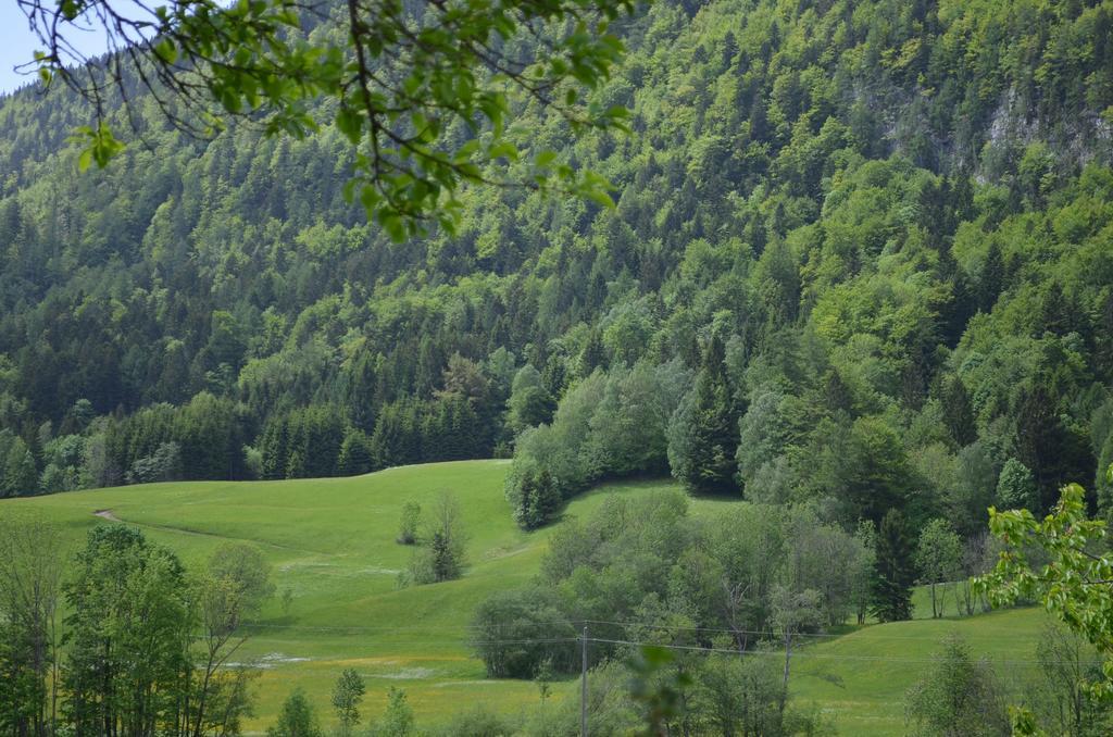 Bauernhof Konig Villa Anger  Eksteriør bilde