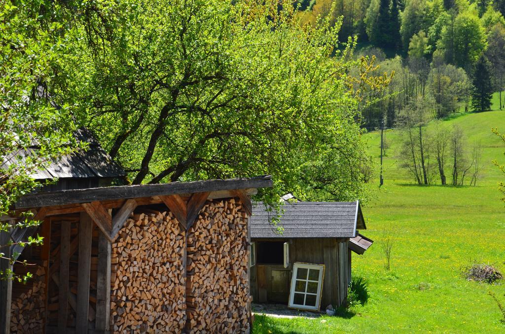 Bauernhof Konig Villa Anger  Eksteriør bilde